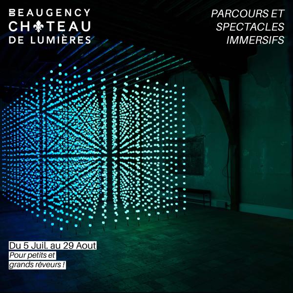 Visite du Château de Lumières