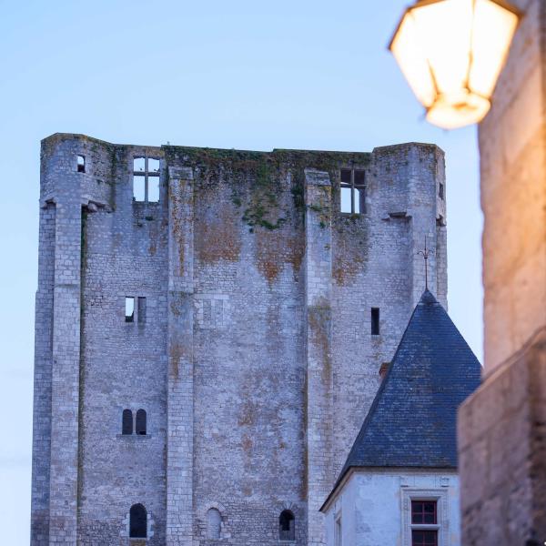 Visite historique du Castrum